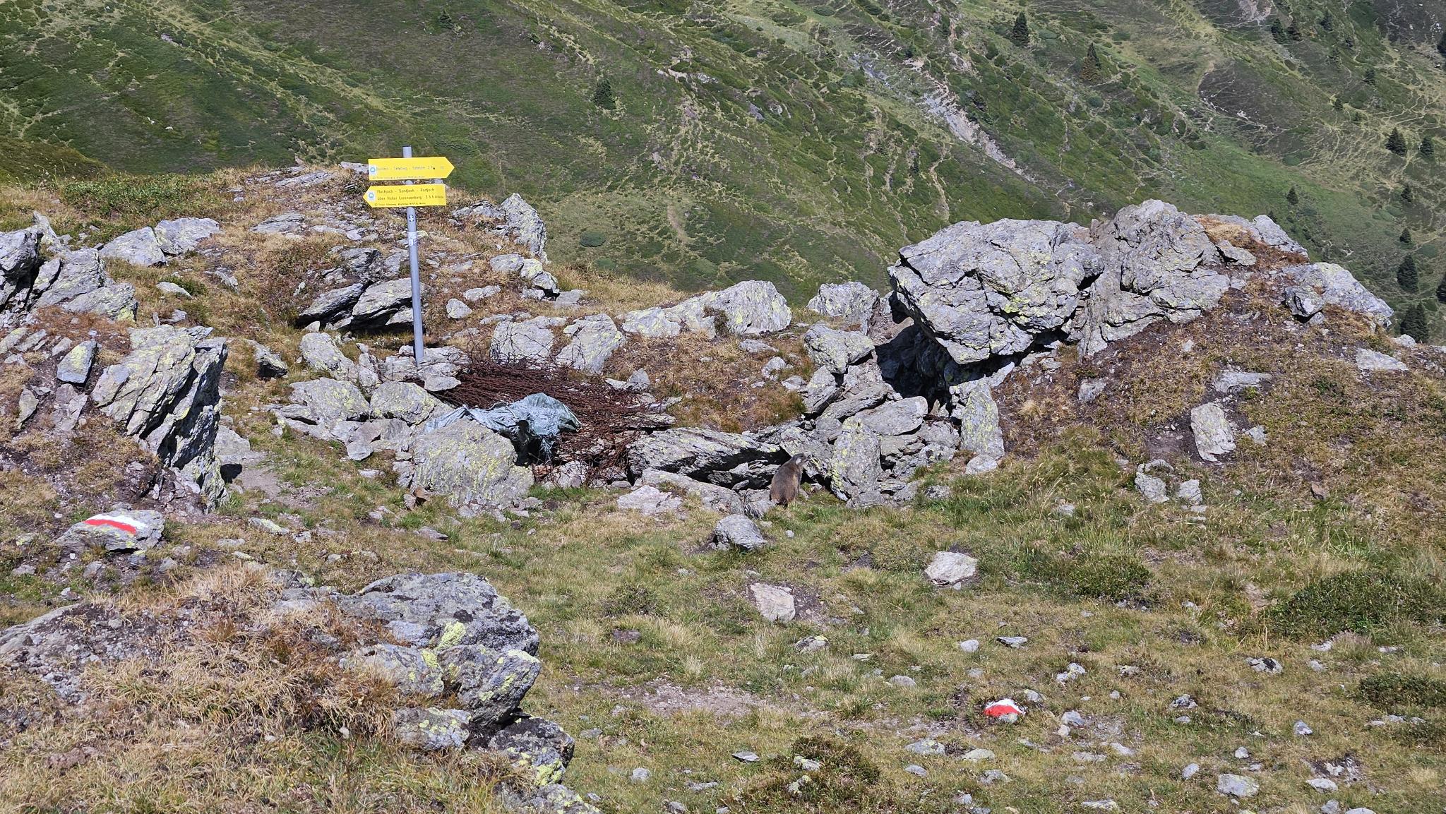 signal-2026-07-29-18-07-12-502-7
