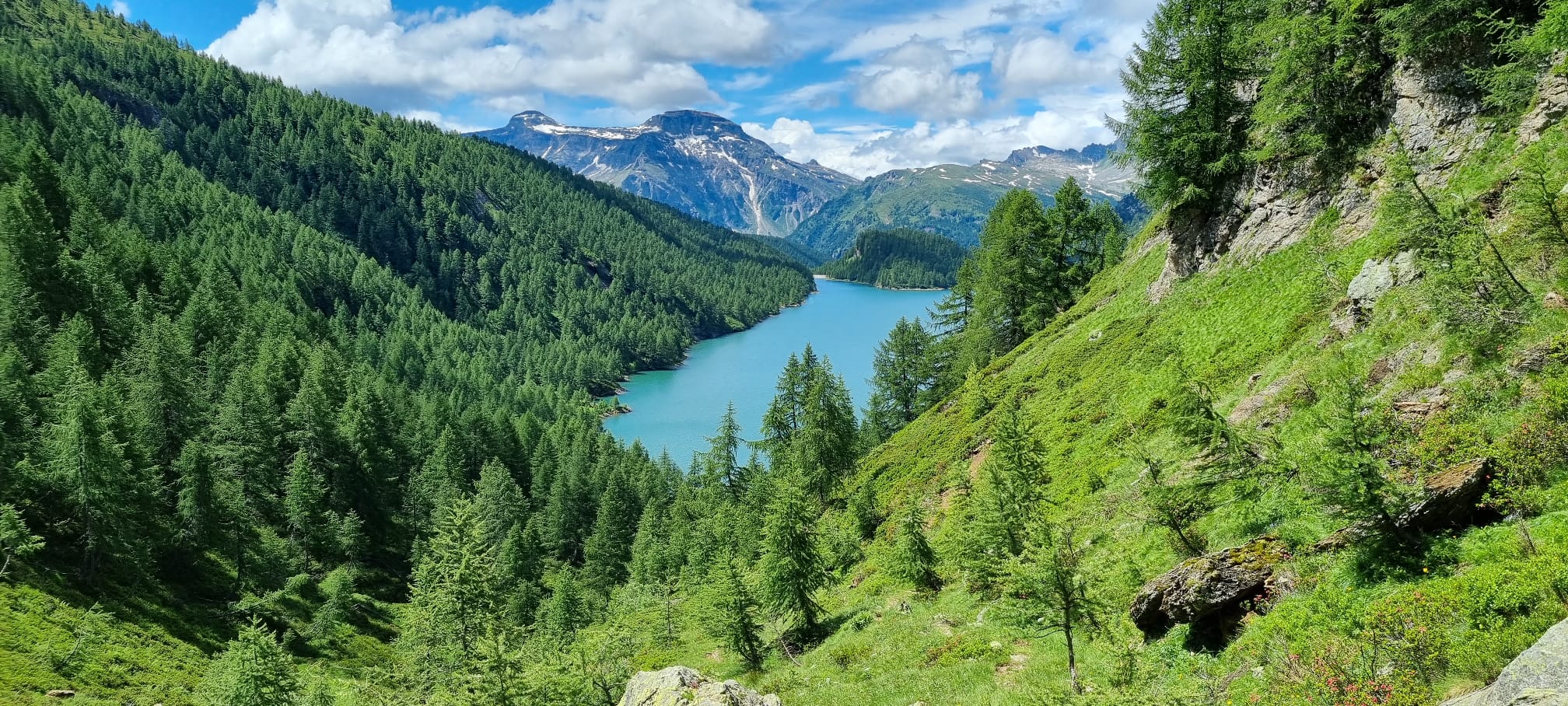 IMG-20210716-11-WA0032