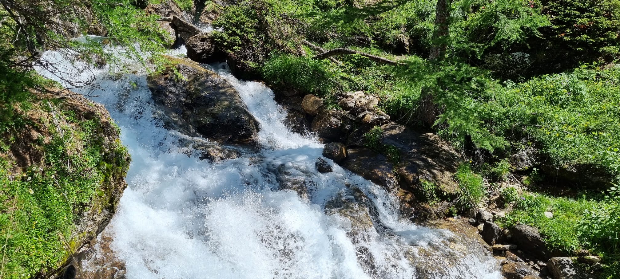 IMG-20210716-12-WA0033