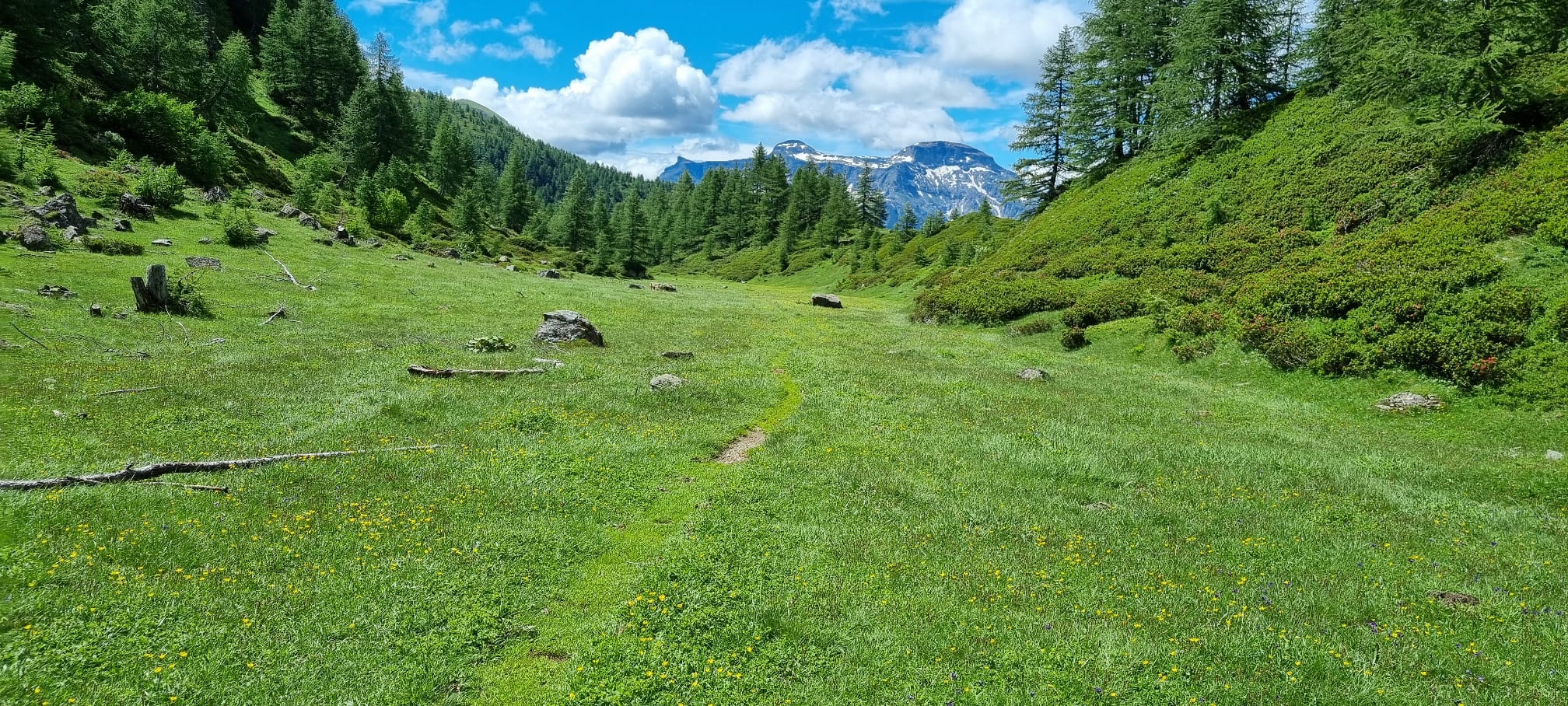 IMG-20210716-22-WA0023