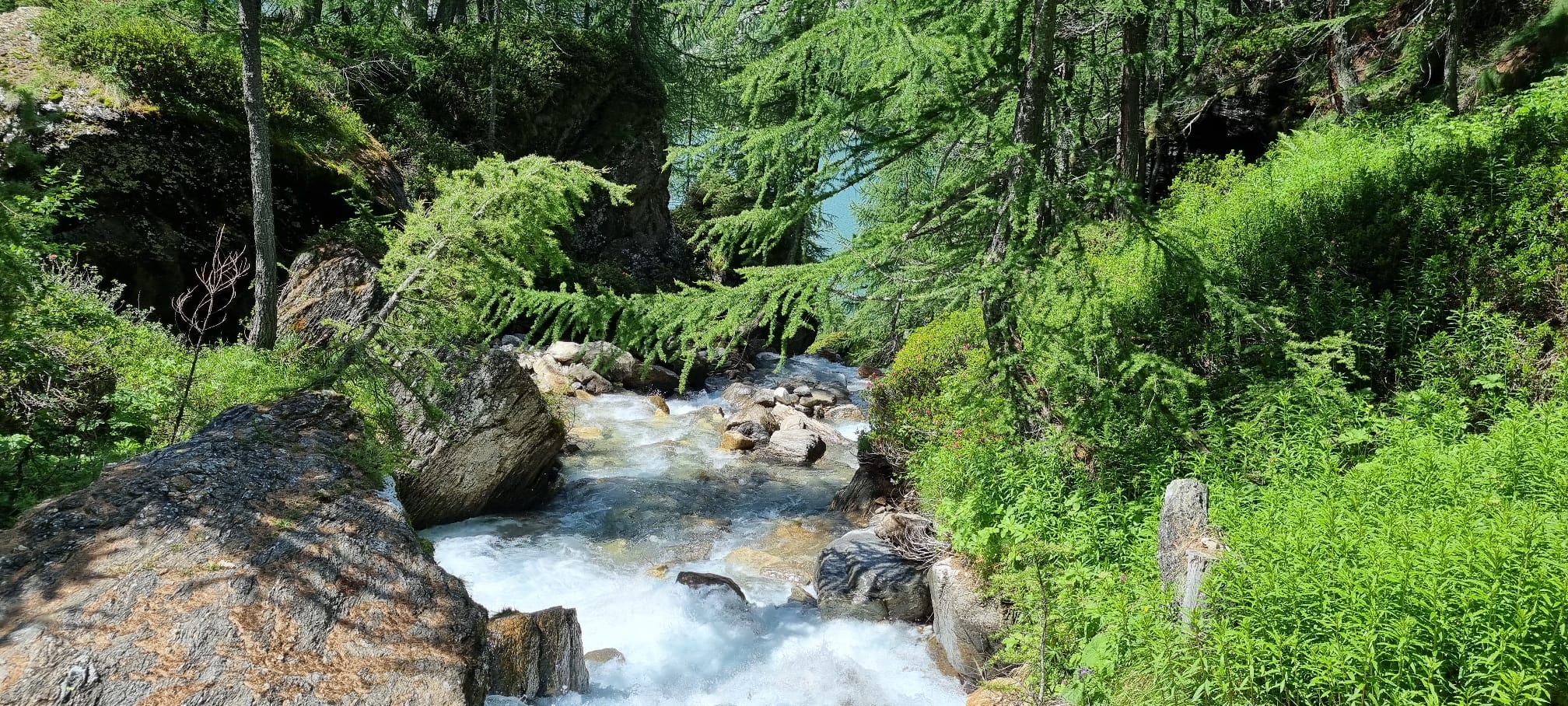 IMG-20210716-25-WA0023