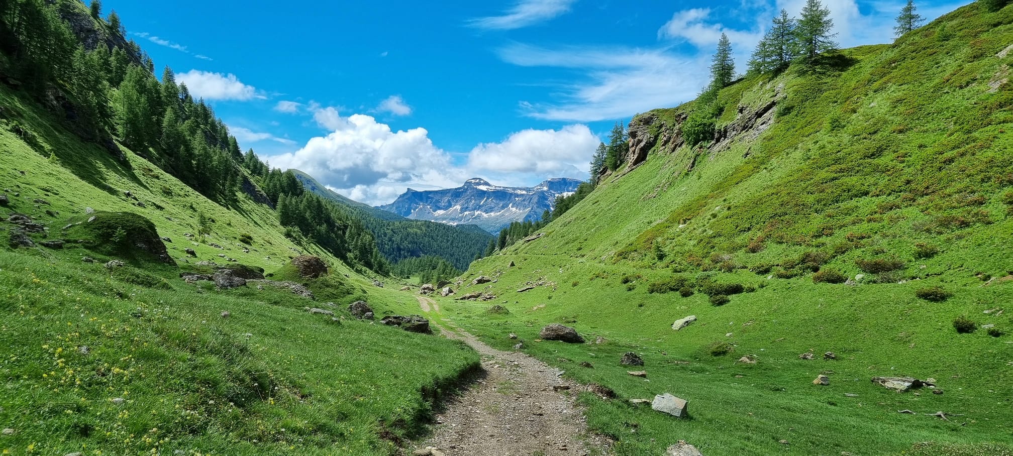 IMG-20210716-28-WA0023