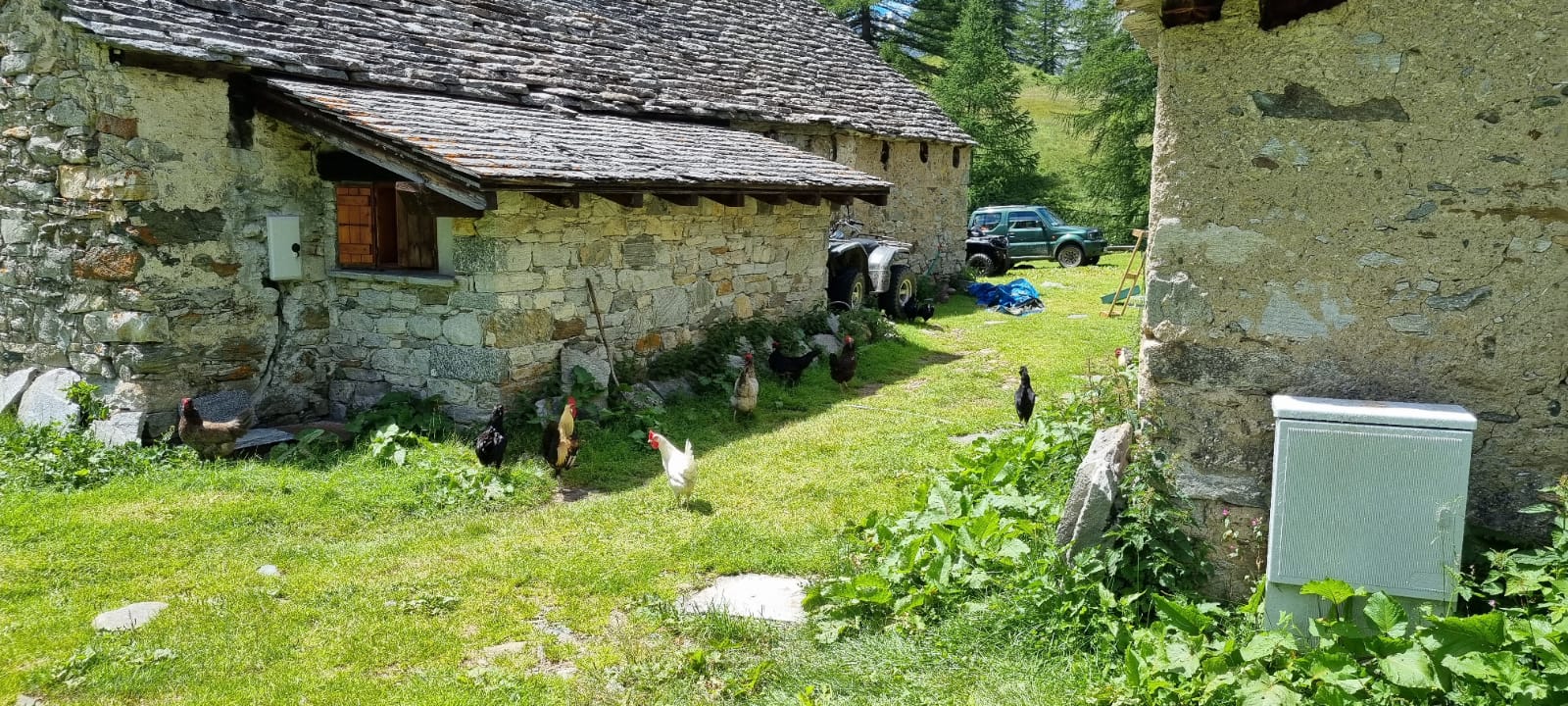 IMG-20210716-34-WA0023