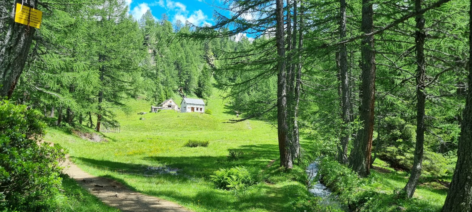 IMG-20210716-35-WA0023