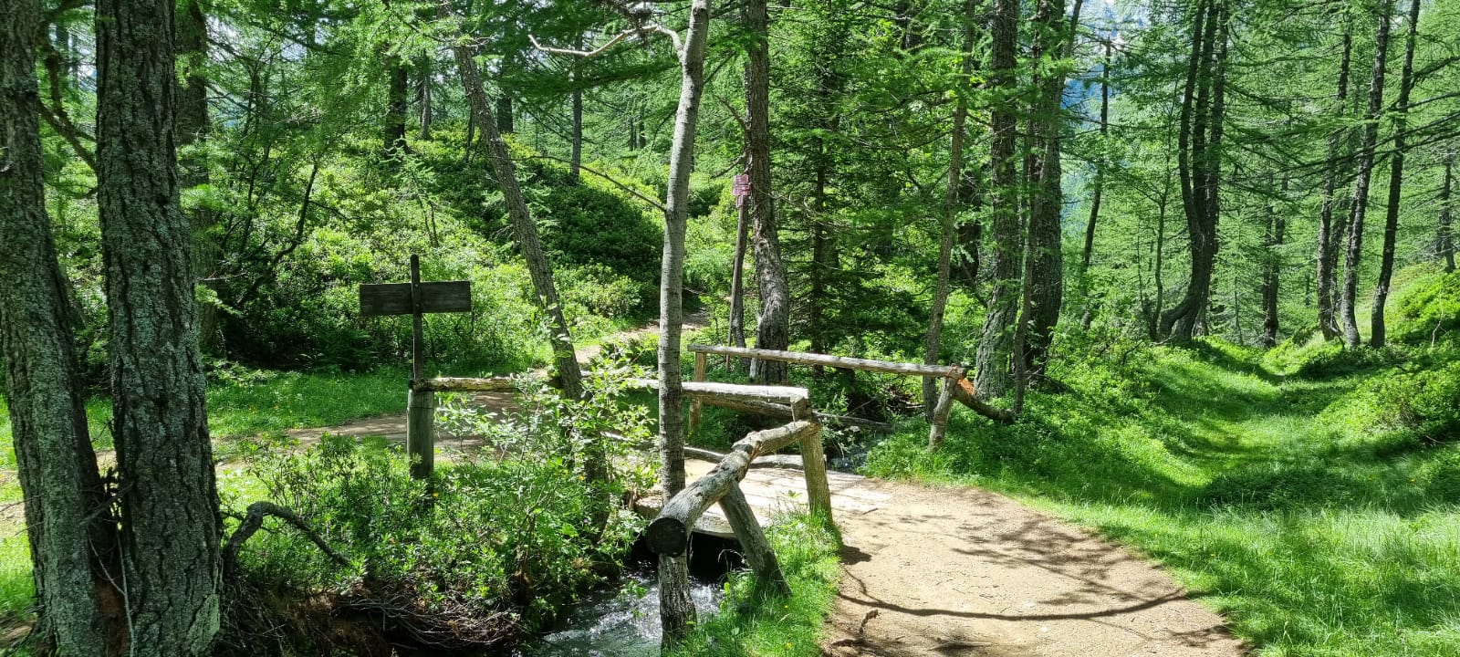 IMG-20210716-38-WA0023