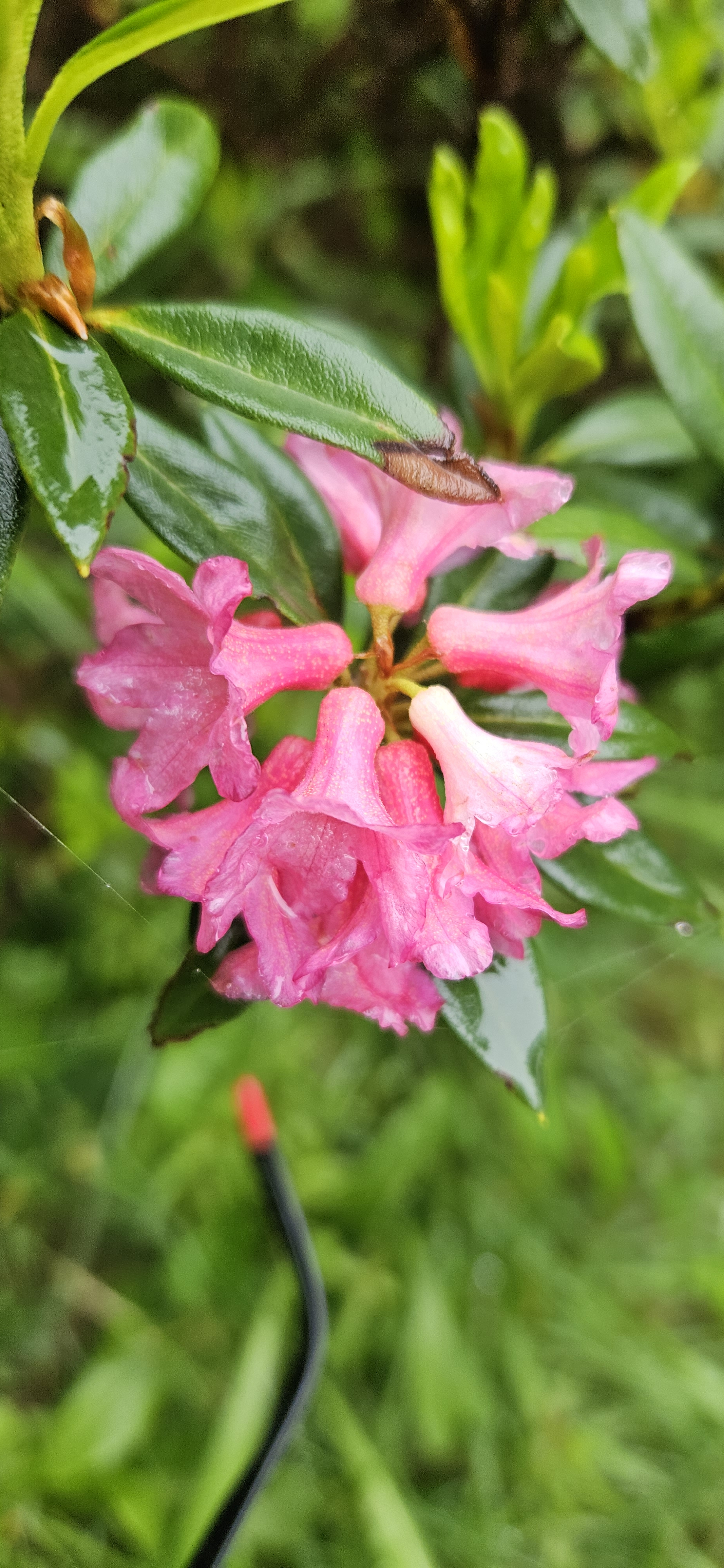 2023-06-30T0925350200